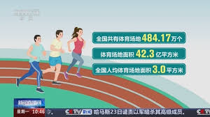 B-sports 木台子乒乓球台